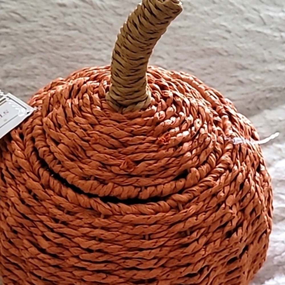 Pumpkin Storage basket  Target